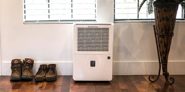 Top 5 Best Dehumidifiers for Your Family