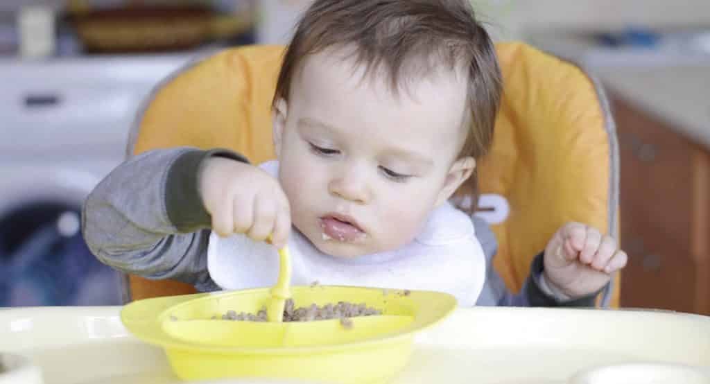 Top 5 Best Baby Utensils Review