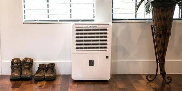 Top 5 Best Dehumidifiers for Your Family