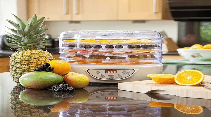 Top 5 Best Food Dehydrators for Your Family
