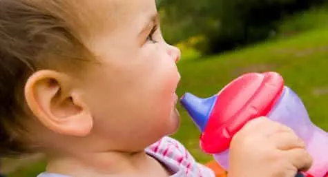 Best Sippy Cups Buying Guide