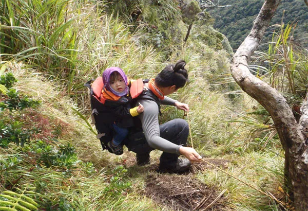 Top 5 Best Baby Backpack Carrier