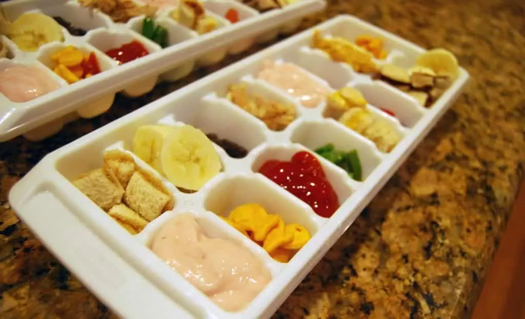 Top 5 Best Ice Cube Tray for Baby Food