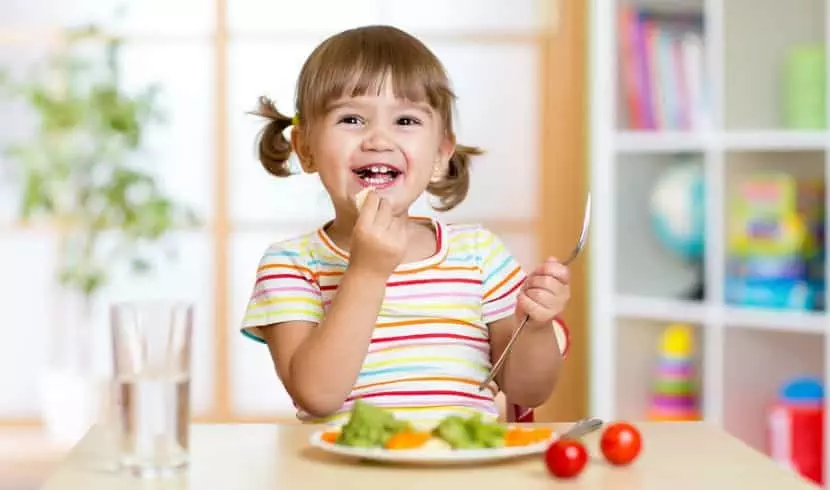 10 Great Toddler Food Ideas