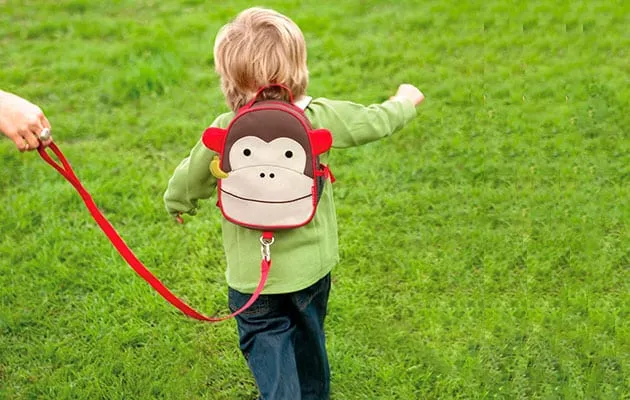 Top 5 Best Child Leash Review