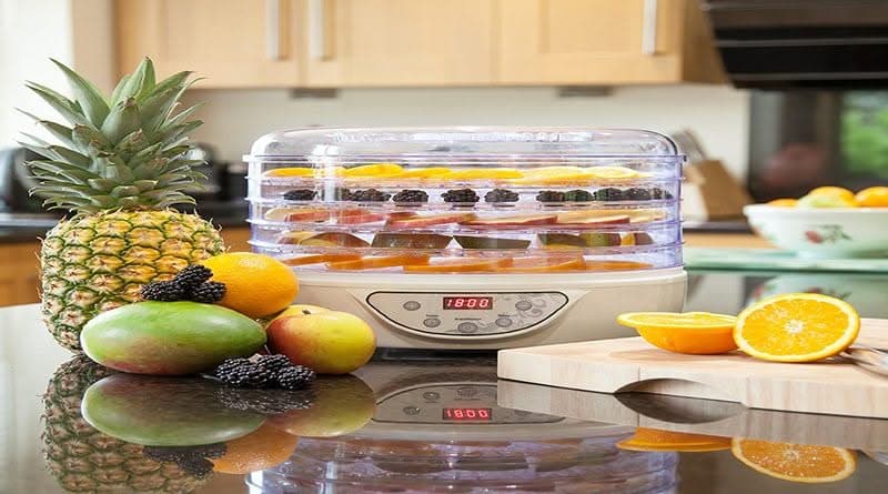 Top 5 Best Food Dehydrators for Your Family