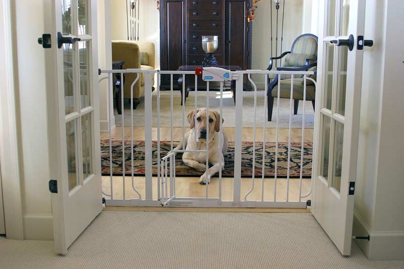 Top 5 Best Baby Gate with Pet Door