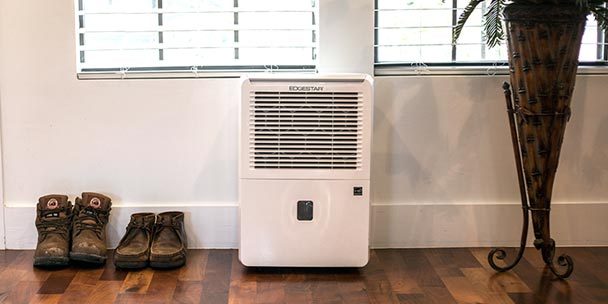 Top 5 Best Dehumidifiers for Your Family |