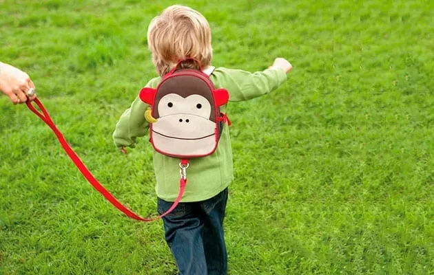 Top 5 Best Child Leash and Harness |